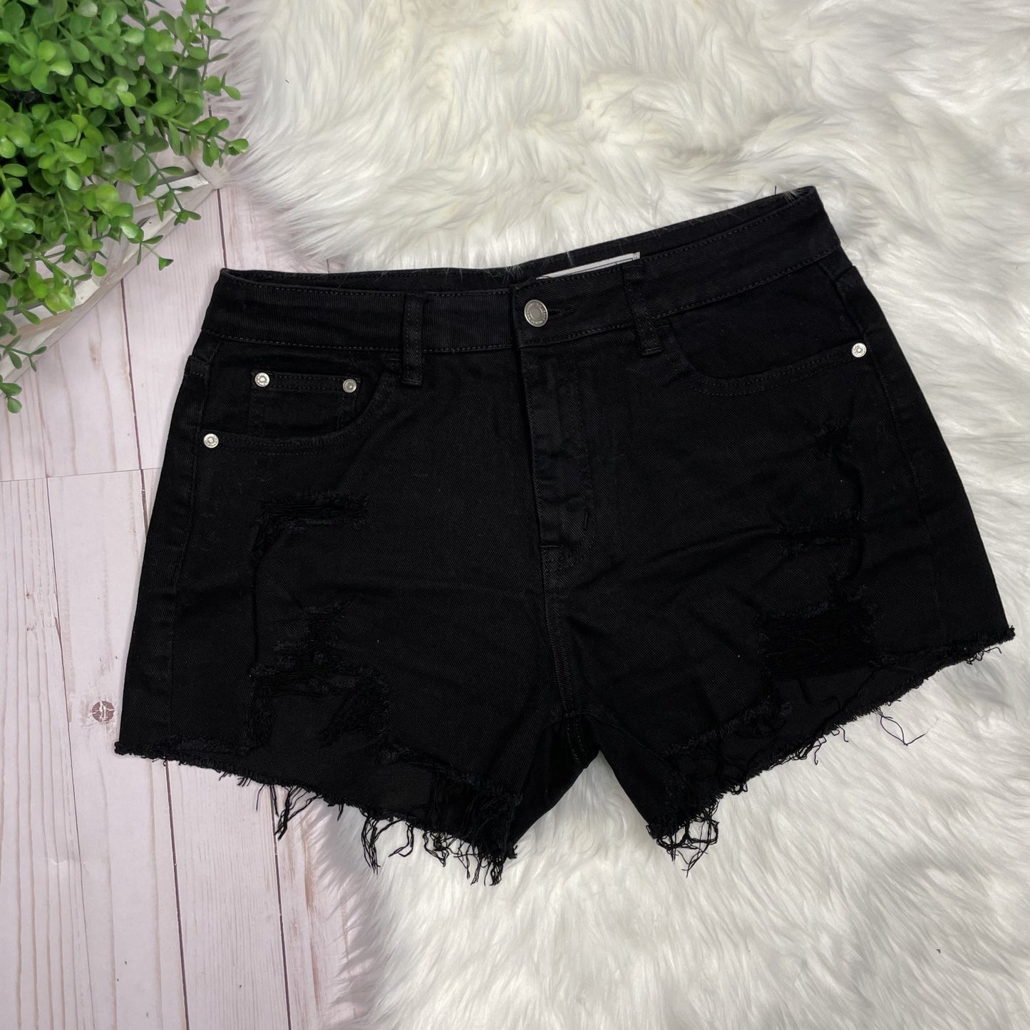 Kylie Shorts